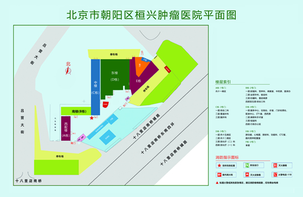 鸡巴插黑逼网站北京市朝阳区桓兴肿瘤医院平面图